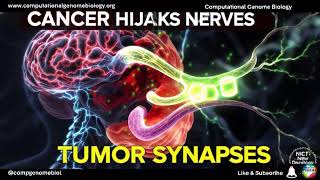 the glowing neural pathways and tumor syna #cancer #neuroscience