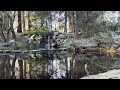 Water Sounds in the park. British Columbia.