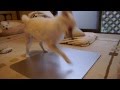 寝床作成