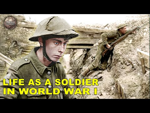 Follow for more🌟@entrelligence WW1 Soldier experiences severe