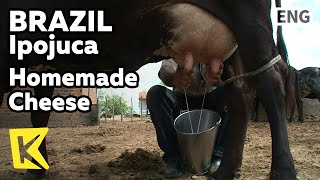 【K】Brazil Travel-Ipojuca[브라질 여행-이포주카]소젖으로 만든 촉촉한 수제치즈/Homemade Cheese/Farm/Cow screenshot 3