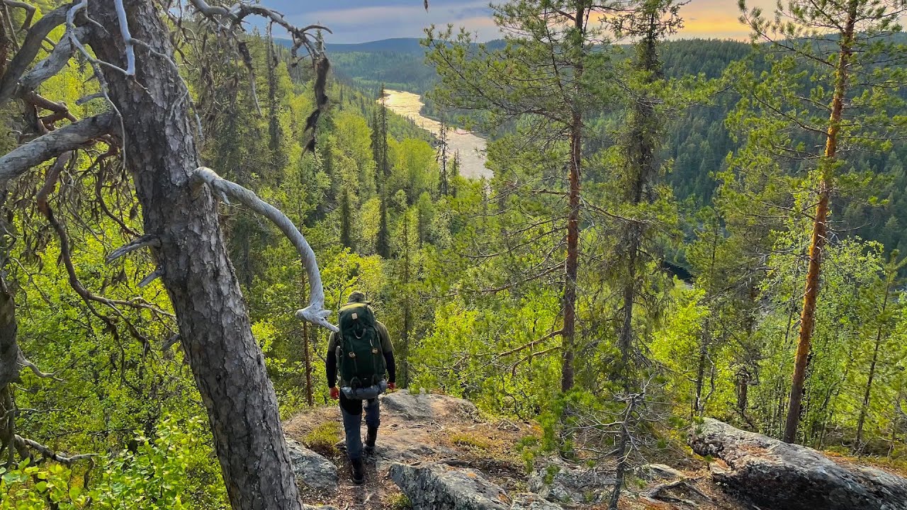 Vaellus yöttömässä yössä Lapin kultamailla – Pahaojalta Ivalojoen Kultalaan - Hammastunturin erämaa