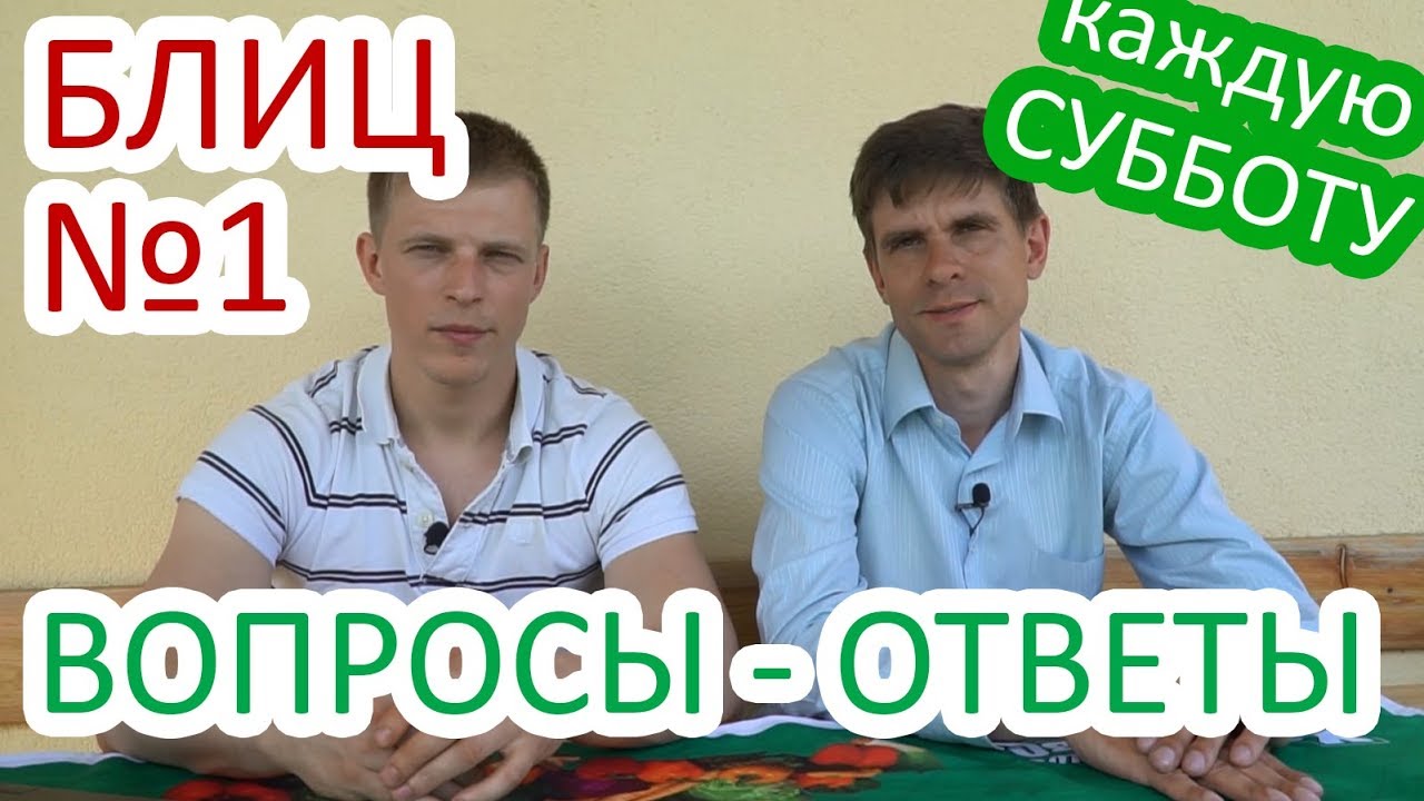 Блиц. Вопросы - ответы №1. Общение с подписчиками.