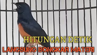 PANCINGAN SIANG HARI MURAI BATU GACOR BIKIN EMOSI LAWAN