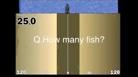 Putting Fish into Perspective with SideScan