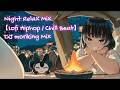 【作業用BGM🎧】⭐️夜のリラックスタイムに🌙✨ / Night Relax Mix 🎵【Lofi Hiphop🎶 / Chill Beat】🎚️DJ moriking Mix🐸