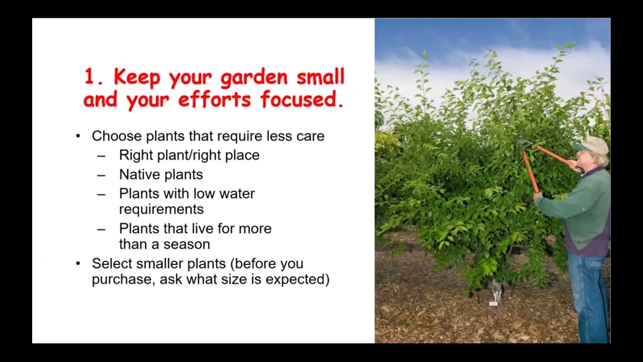 Intentional Aging: Adaptive Gardening