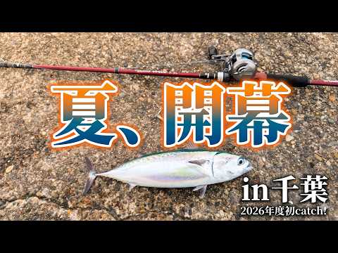 2026年夏、開幕（千葉県某所のソウダガツオ釣り）