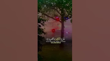 قران كريم راحه نفسيه #اكسبلور #لايك #الرحمن #المصحف #راحة_نفسية ❤️❤️❤️