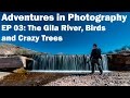 Adventures In Photography Ep 03: The Gila River, Sneaky Birds, &amp; Crazy Trees!