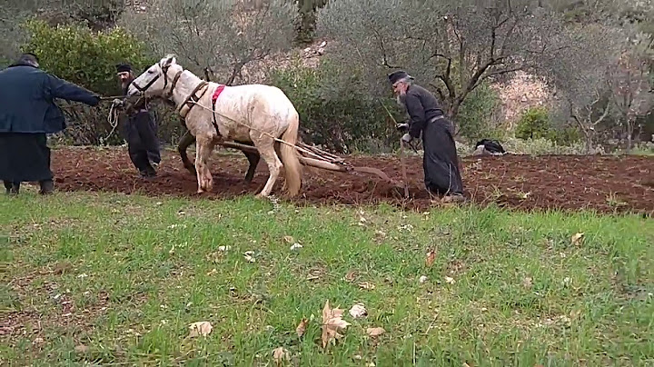 Παραδοσιακό όργωμα με άλογα #plowing #horses #horsesplowing #μοναχοί #μοναχοι #αγροτικά