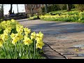 Seton legacy garden