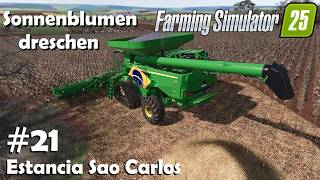 LS25 Estancia Sao Carlos #21 Sonnenblumen ernten & neue Feldmission | Farming Simulator 25