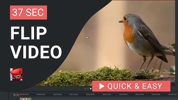 Lightworks Tutorial: How to Flip Video in Lightworks
