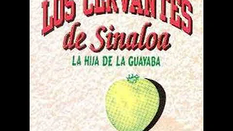 Los Cervantes De Sinaloa - El Moreo