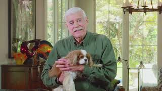Details Caring for Your Beloved Pet While You Are Undergoing Cancer Treatment Update