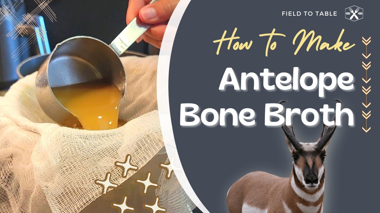 How to Make Antelope Bone Broth - The Easy Way