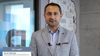 Tolga Taşçı-2