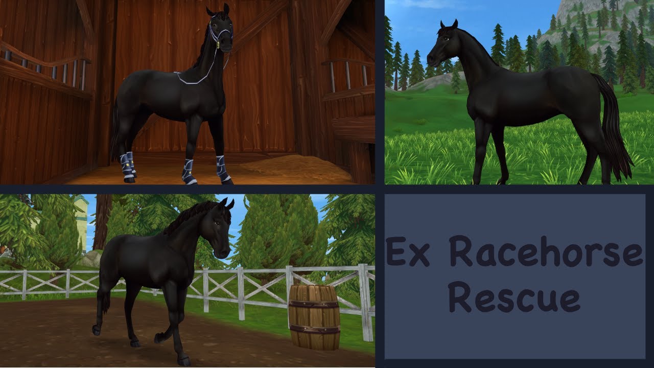 EX RaceHorse Rescue {The Next Step} - SSO Realistic Roleplay - YouTube