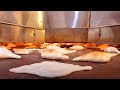 Samoon Bread | Iraqi Flatbread Recipe | Samoon Street Food صمون العراقي