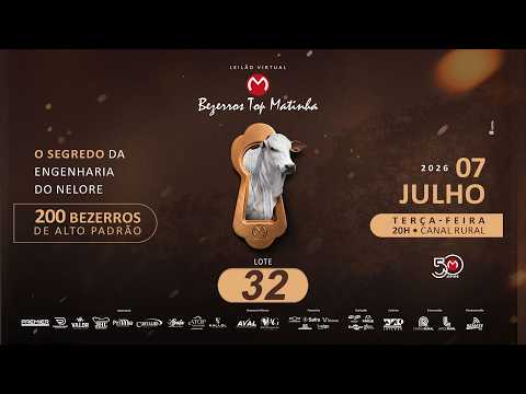 LOTE 32