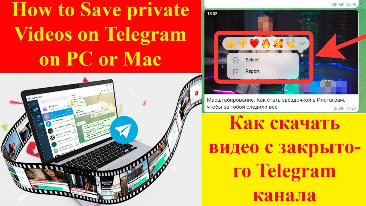 Как скачать защищенное видео с #telegram / how to download private #video  from telegram - YouTube