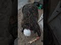 #carpfishing #балык #fishing #рыбалканафидер #carp #рыбалканаозере #рыбалка2025 #рыбалка #ловля