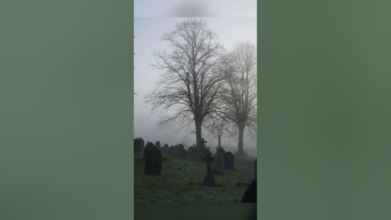 Dreamcore/Weirdcore/Traumacore/ Nostalgiacore all in one video/ choose your place to stay one night