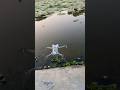 DJI Mini 3 Drone Flying Tips &amp; Tricks | Viral || DJI Mini 3 #djidrone #shorts #dji #drone #djimini3
