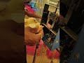 Amazing Bird S Shorts Layerfarming Poultryfarming Amazing Bird S Shorts Layerfarming Poultryfarming