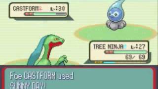 Pokemon Sapphire Walkthrough Part 40: Freakin' Route 120
