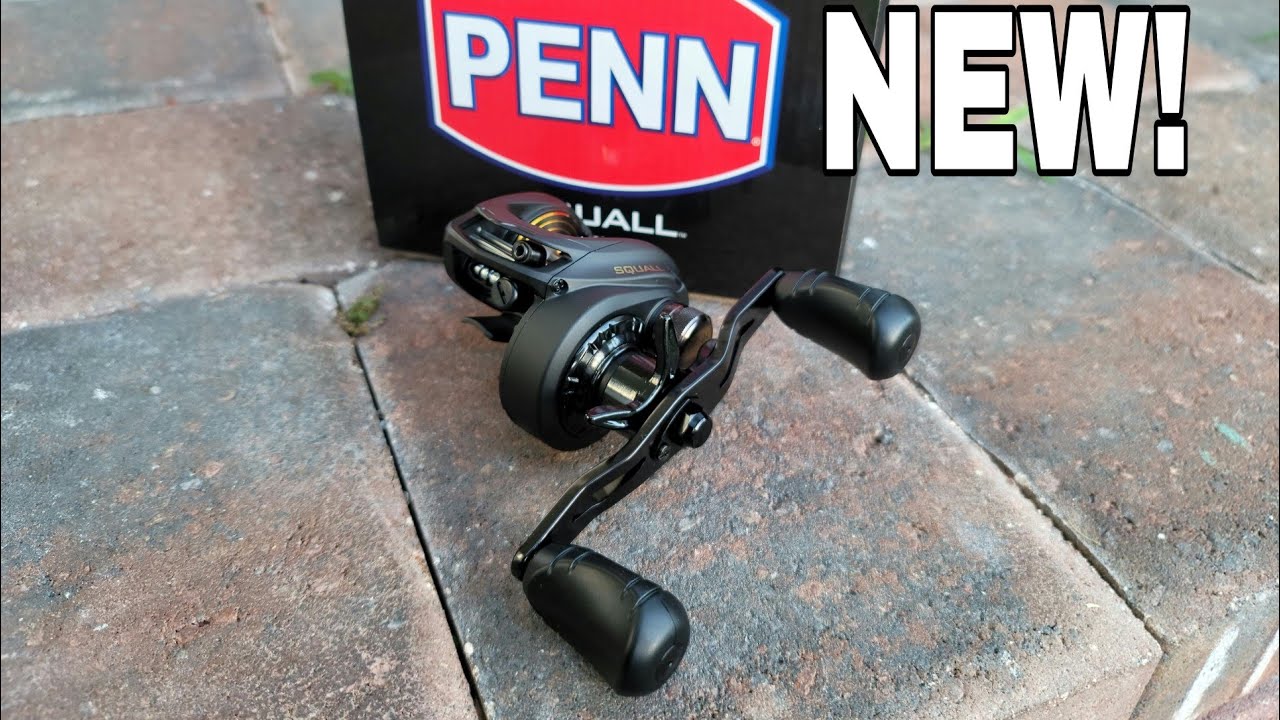 NEW Penn SQUALL Low Profile Baitcast Reel High Speed SQL300LP + Free Braid