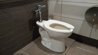 Toilet Flush At Wendys Old Fashion Burgers