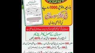 Subsidy On Mong Pulses Seed in Pakistan