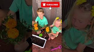 Hands In The Soil, Hearts Full Of Joi