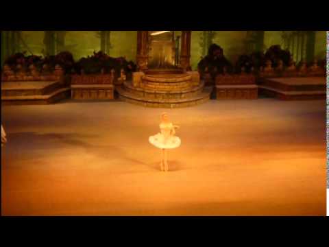 Raymonda - variation from Grand Pas camera iphone 8 plus apk