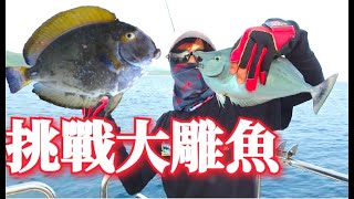 連續釣七天魚不回家!每隻魚都大到誇張!!挑戰釣魚人的頭腦!!(身分證體驗釣大魚)