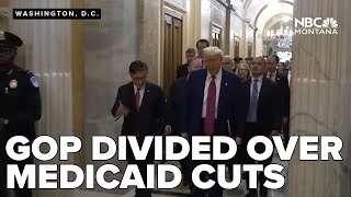 Republicans divided over Medicaid cuts as Trump pushes for 'big beautiful bill'