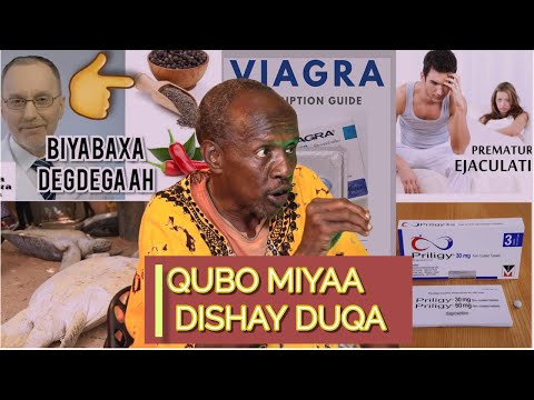 Subaga Qubada Mise Kaniiga Kacsiga Ayaa Duqa Dilay Dhacdo Xanuun Badan Iyo Dadaal Qaldan