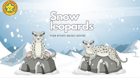 📚Snow leopards🌍 - Kids learning fun - Kids Story Magic House🦁