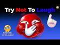 FUNNIEST VIDEOS Try Not To Laugh Challenge IMPOSSIBLE You Laugh You Lose Part 116