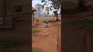 If You Dont Want To Cry Dont Watch Uganda.