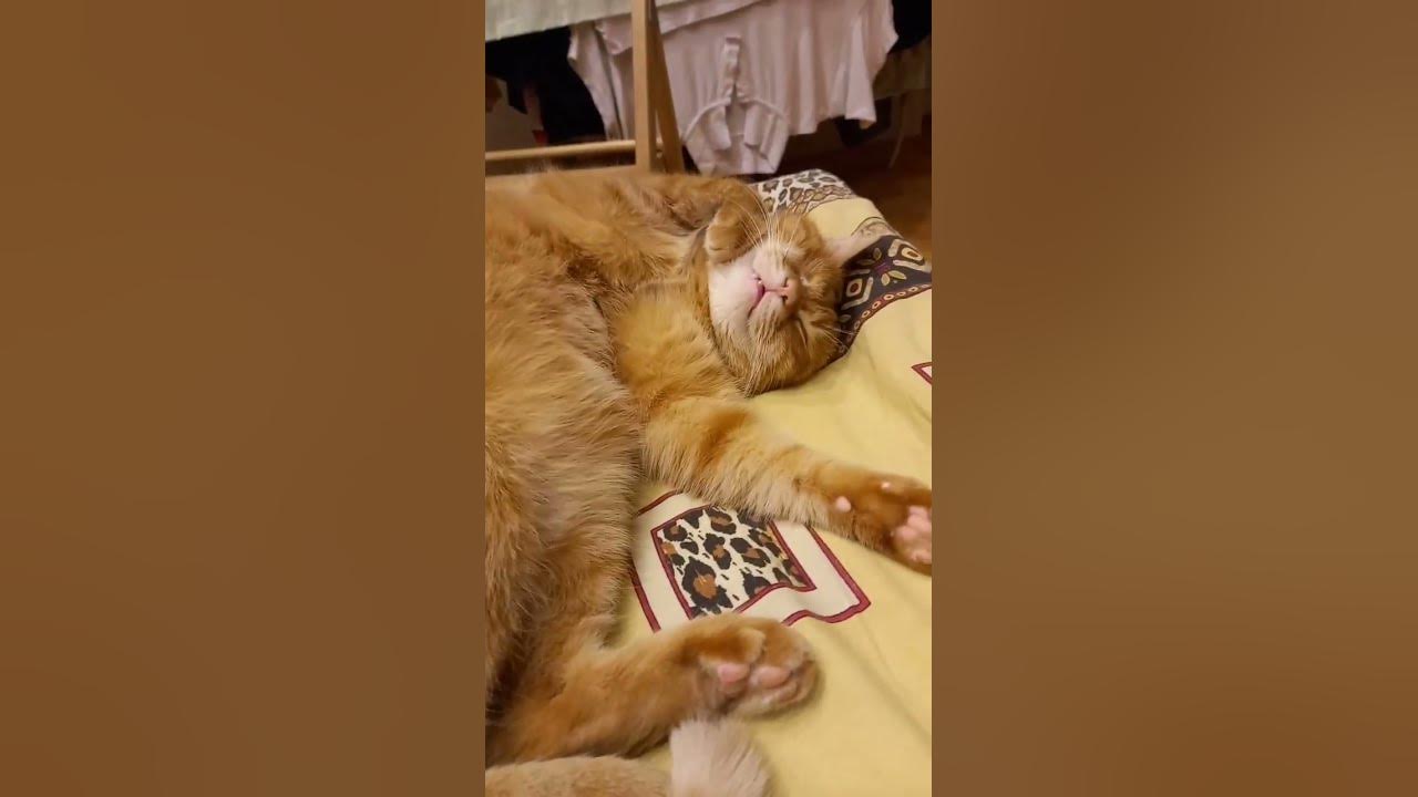 Ержан вставай - YouTube