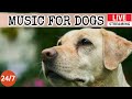 Live dog musicrelaxing soothing music for dogsanti separation anxiety relief musicdog sleep3