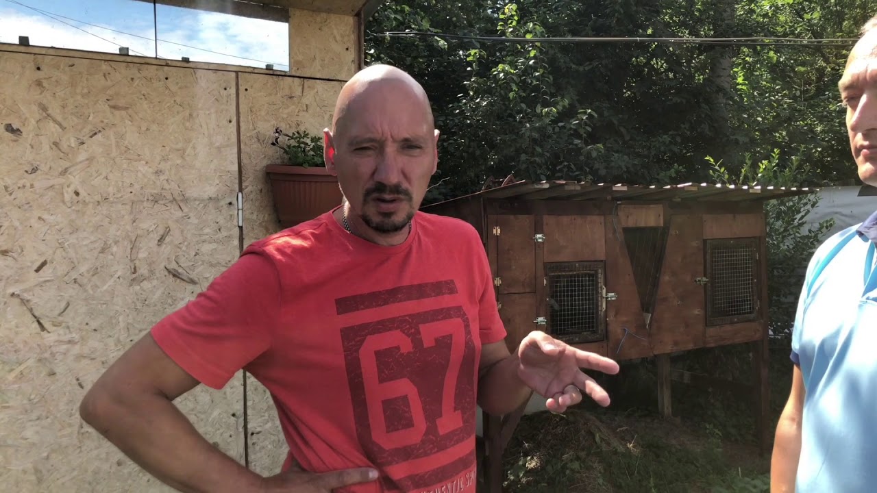 Кролики не болеют. Кокцидиоз. Лечение. - YouTube