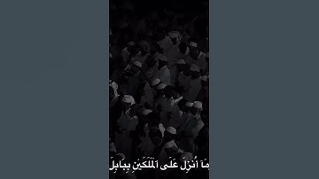 #اكسبلور #اكسبلور_explore #قران_كريم #قرآن #القرآن_الكريم #تلاوة_خاشعة #سورة_البقرة #quran