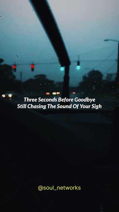 Three Seconds (Before Goodbye) - Sia ft. Damian Marley #sia #music #lyrics #song #foryou #fyp #viral