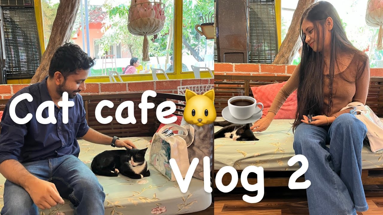 PURRed@Charlie's - The first Cat Cafe in Bangalore, India 🇮🇳😻🙀😸 