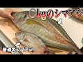 【突然変異？】なんでこんな魚が存在するの？？買って捌いてみたら衝撃でした