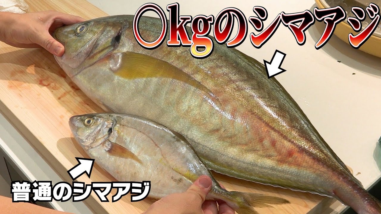 【突然変異？】なんでこんな魚が存在するの？？買って捌いてみたら衝撃でした